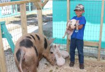 EDITORIAL – Agriculture Show offers a chance to reconnect