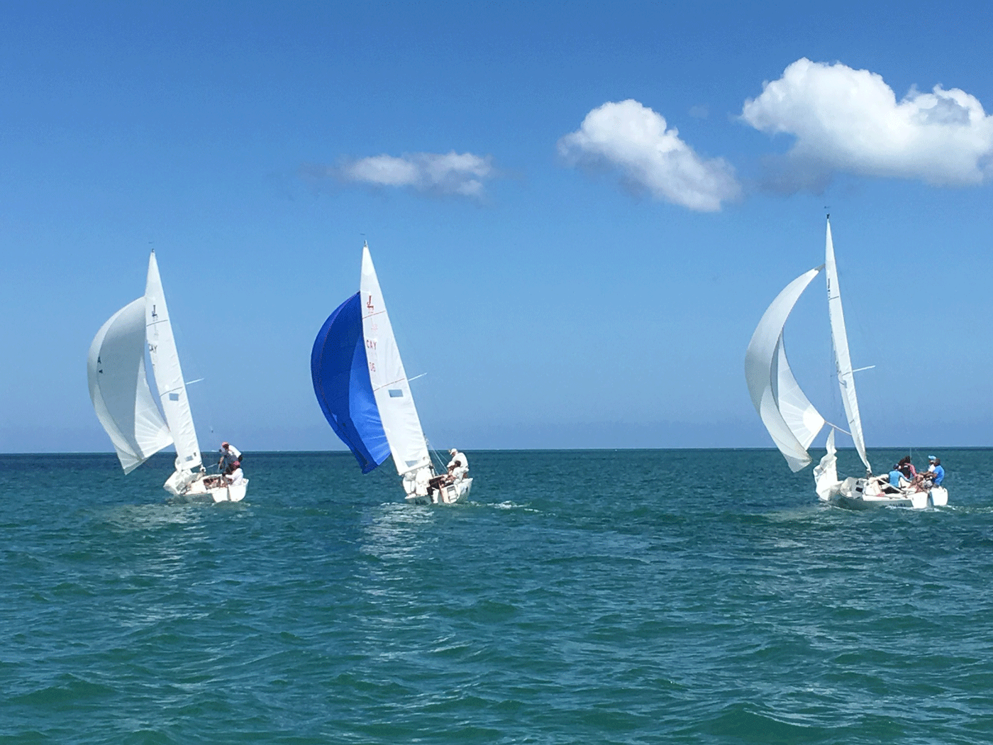 Tomeaka McTaggart wins J22 national sailing competition Cayman Compass