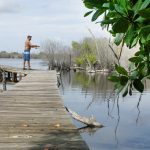 Tarpon Lake nominated for protection