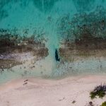 Dart’s beach rock removal plan to require environmental study