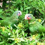 Contest puts spotlight on conservation