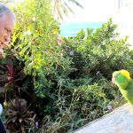 Feathered friends form a big part of East End families