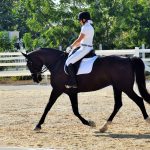 Cayman riders compete in dressage