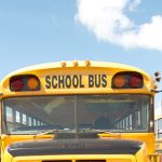 Investigation launched into school bus hitting dog School buses