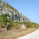 Candidates face off in Cayman Brac