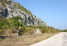 Candidates face off in Cayman Brac