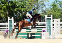 Cayman equestrians compete in Combined Training show