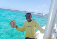 Environmental summer internships open
