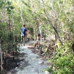 Colliers reserve trail a window into East End’s wild interior