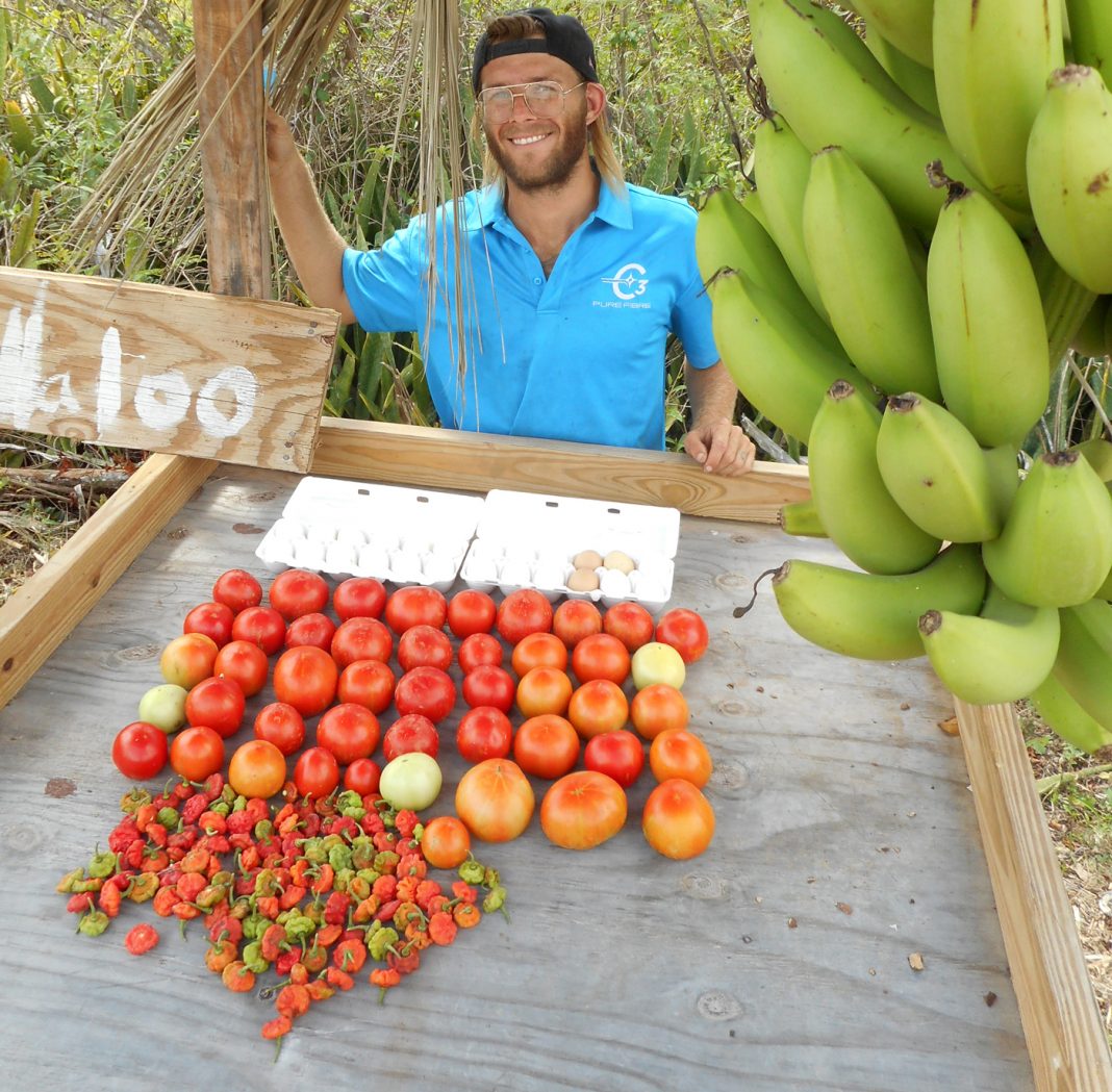 Josh--farm-fun-news