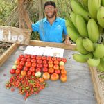 Young farmer offers up fresh veggies