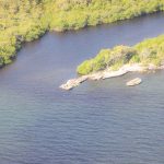 Salt Creek mangroves nominated as protected area