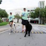 Pooches welcome at the annual CARE Dog Jog