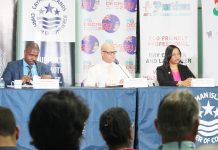 Independents blast ‘career politicians’