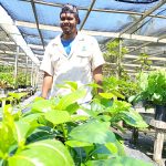 Botanic Park plant sale this weekend