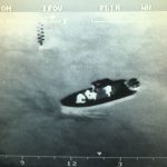 2 Cuban migrants rescued from sea; 29 others swim to shore