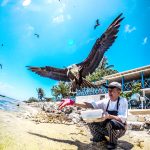 A bird in the hand