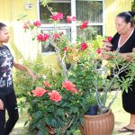 Childhood garden inspires real living farming