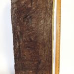 Donation brings home a relic of Cayman’s early days