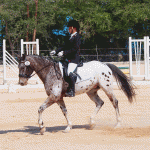 Cayman equestrians selected for regional dressage challenge