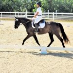 Double winners highlight dressage show