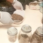 EDITORIAL – Medical cannabis: Sober reflection on drug law