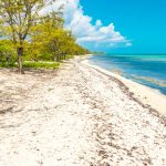 Cayman’s first protected areas approved by Conservation Council