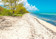Government considers ‘land swap’ with Dart over Barkers parcels