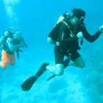 ‘It changed my life’: US veterans find new mission on Cayman’s coral reefs
