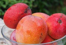 Cayman’s mangoes rooted in long history