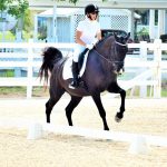 Cayman riders star in Caribbean competition