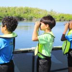 Educational mangroves website launched