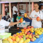 Succulent mangoes aplenty at festival
