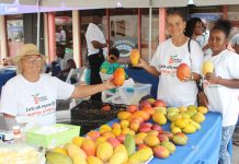 Succulent mangoes aplenty at festival