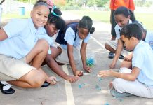 Students at Bodden Town Primary learn traditional arts