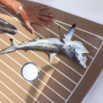 ‘Bludgeoned’ juvenile shark sparks concern