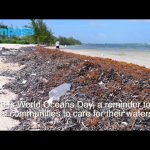 Residents encouraged to clean up Cayman