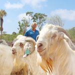 The goat man of Cayman Brac