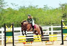 Cayman equestrians honored at annual awards banquet