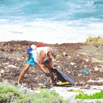 Volunteers clean beach, climb the Bluff