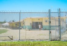 Asylum services ‘hopelessly underfunded’ for next two years