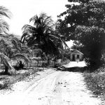 Remembering Blossom Village