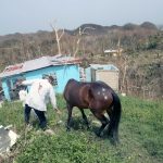 China can help turn the lights on in Puerto Rico