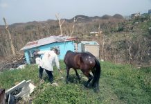 China can help turn the lights on in Puerto Rico