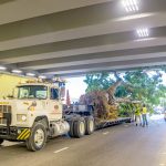 Lumbering down the highway
