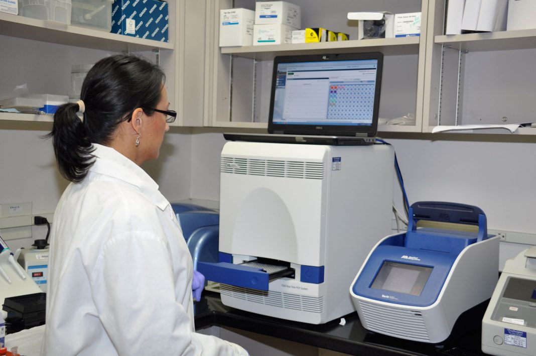 Cayman authorized to test for Zika, dengue Cayman Compass