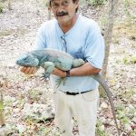 National Trust: Cute for Cayman campaign