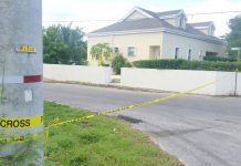 Girlfriend arrested in North Side man’s death