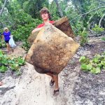 Two trucks of garbage removed from West Bay beach