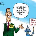 Infection